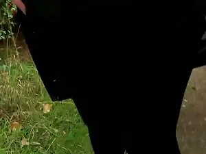 Bosszantó szexi eret ...