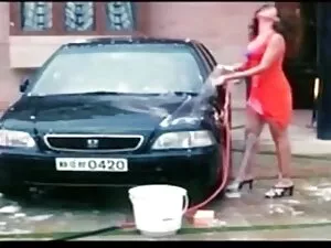 A fajok közti álmok  ...